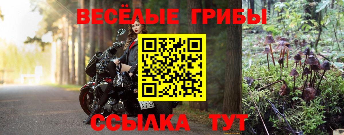 Галлюциногенные грибы Psilocybe  Вход с VPN  Коломна 